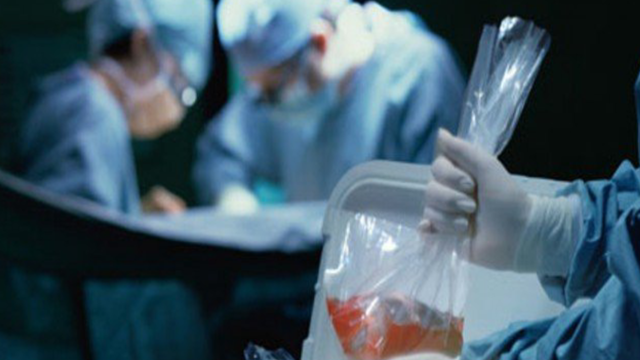 Hastaya nakledilen böbrek kuduzlu çıktı: Hayatı son buldu