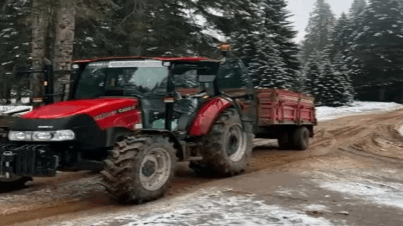 Bartın'ın yüksek kesimlerine ilk kar düştü