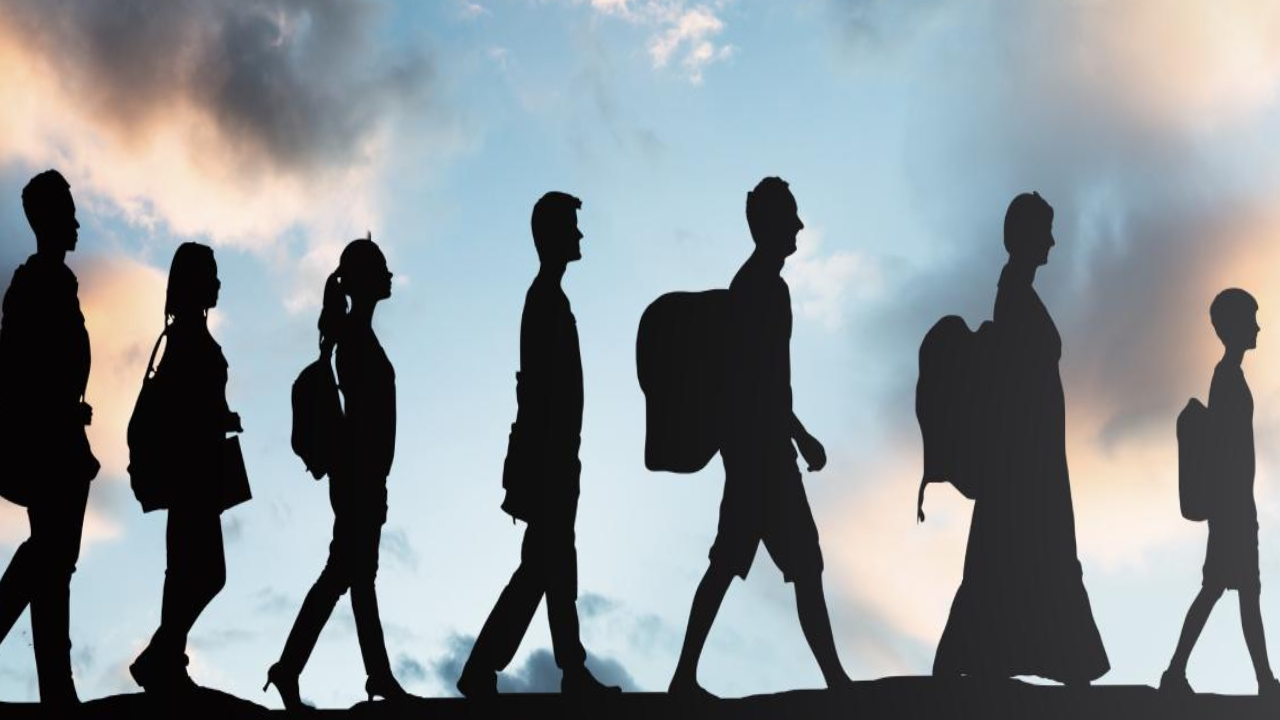 -Bodrum’da Göçmen Kaçakçılığı Operasyonu: 3 Tutuklama