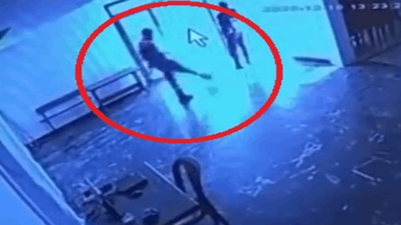 Belediye tesisinde kediye eziyet kamerada