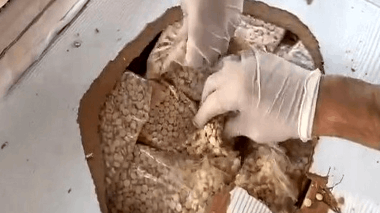 Gümrüklerde rekor; 33 ton 198 kilo uyuşturucu yakalandı