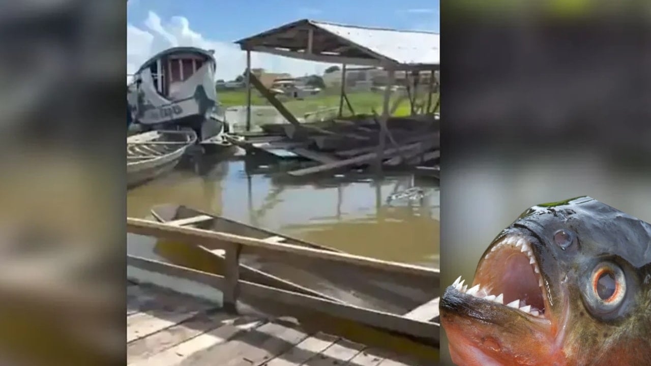 2 yaşındaki bebek pirana saldırısında hayatını kaybetti