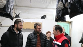 Evin tavanına poşetler asarak yetiştirdi: Markette kilosu 200 lira, adeta protein deposu!