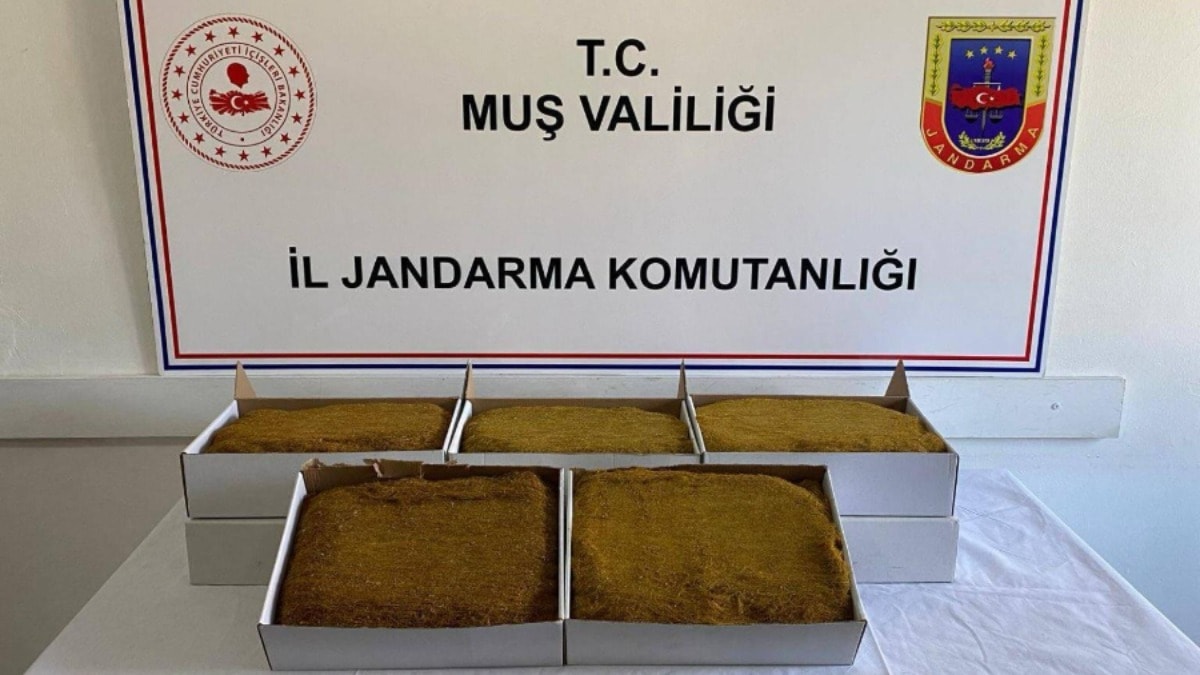 Muş'ta hakkında arama kararı bulunan 199 kişi yakalandı