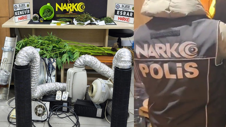 Evini kenevir serasına çevirmiş: 1 gözaltı