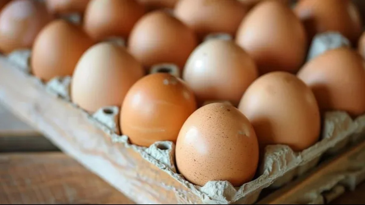 Ticaret Bakanlığı’ndan yumurta ihracatına yeni düzenleme