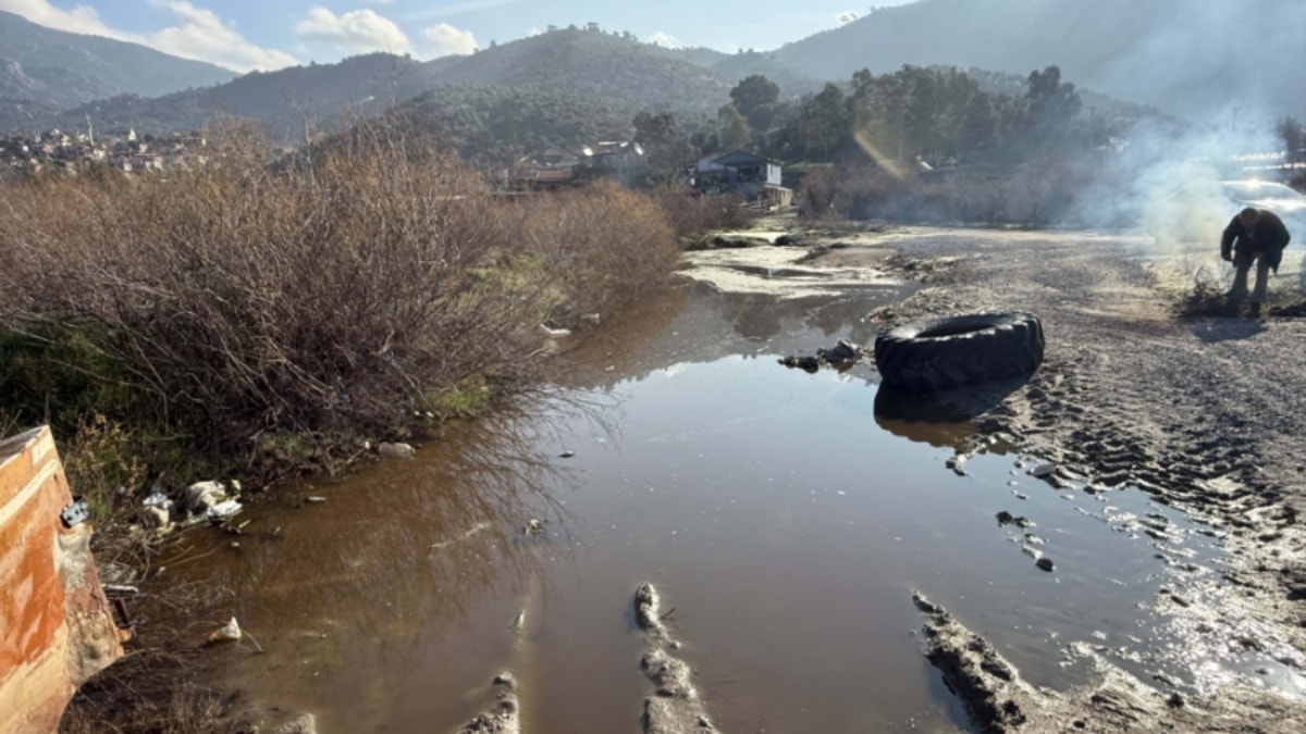 Bafa Gölü'nde kirlilik azalmadı: Bazı bölümleri kızıla büründü