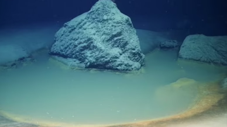 Bilim insanlarını şoke eden keşif