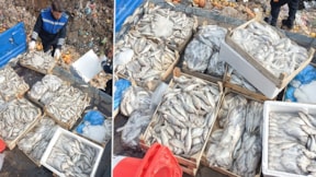 Vatandaşa yedireceklerdi: Kasa kasa imha edildi!