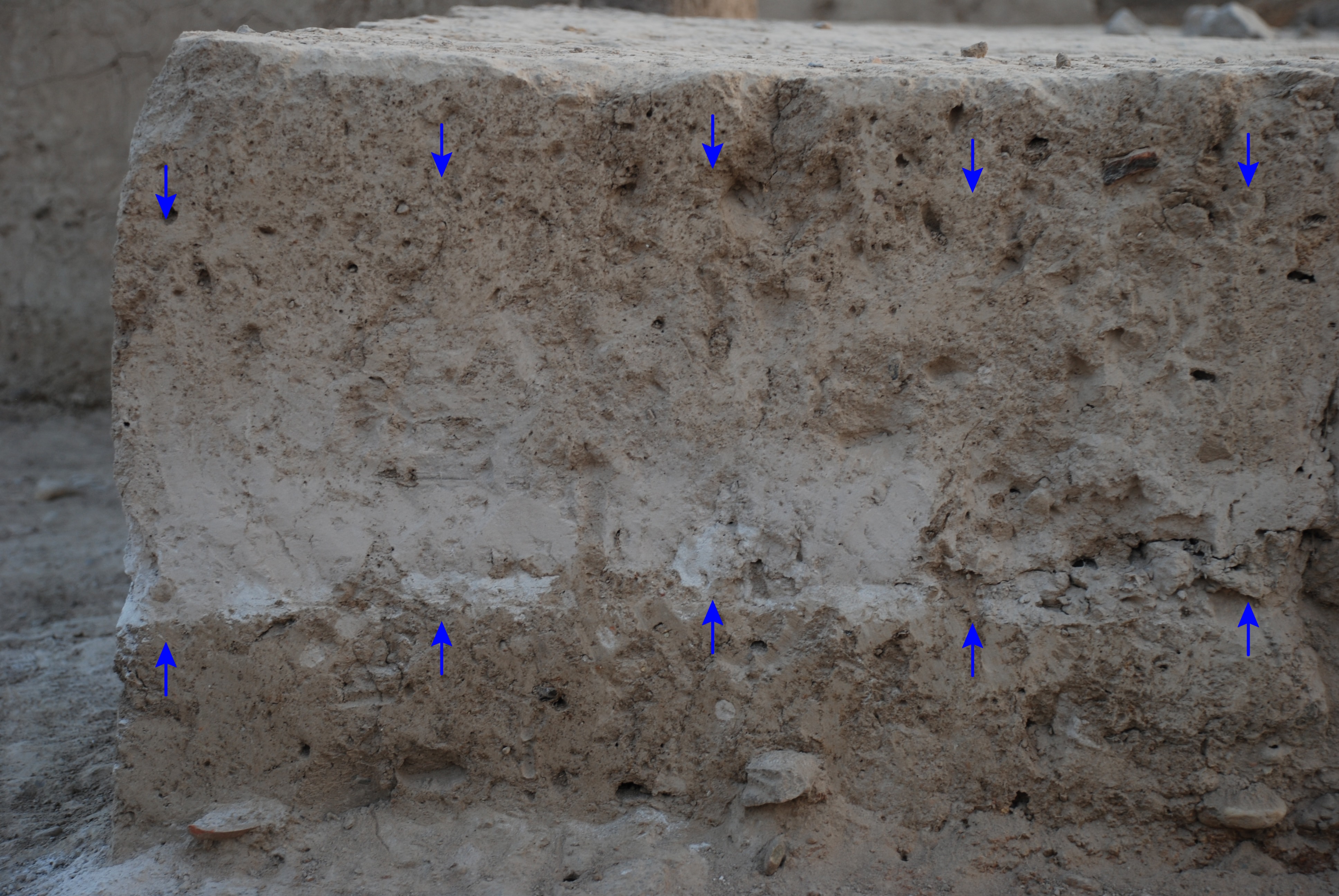 Aydın'daki dev sırrı Viyana'da çözdüler: Hepsi Santorini yüzünden olmuş