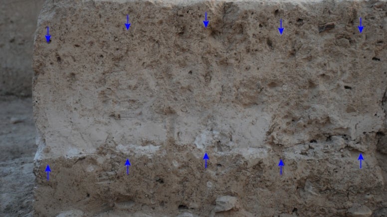 Aydın'daki dev sırrı Viyana'da çözdüler: Hepsi Santorini yüzünden olmuş