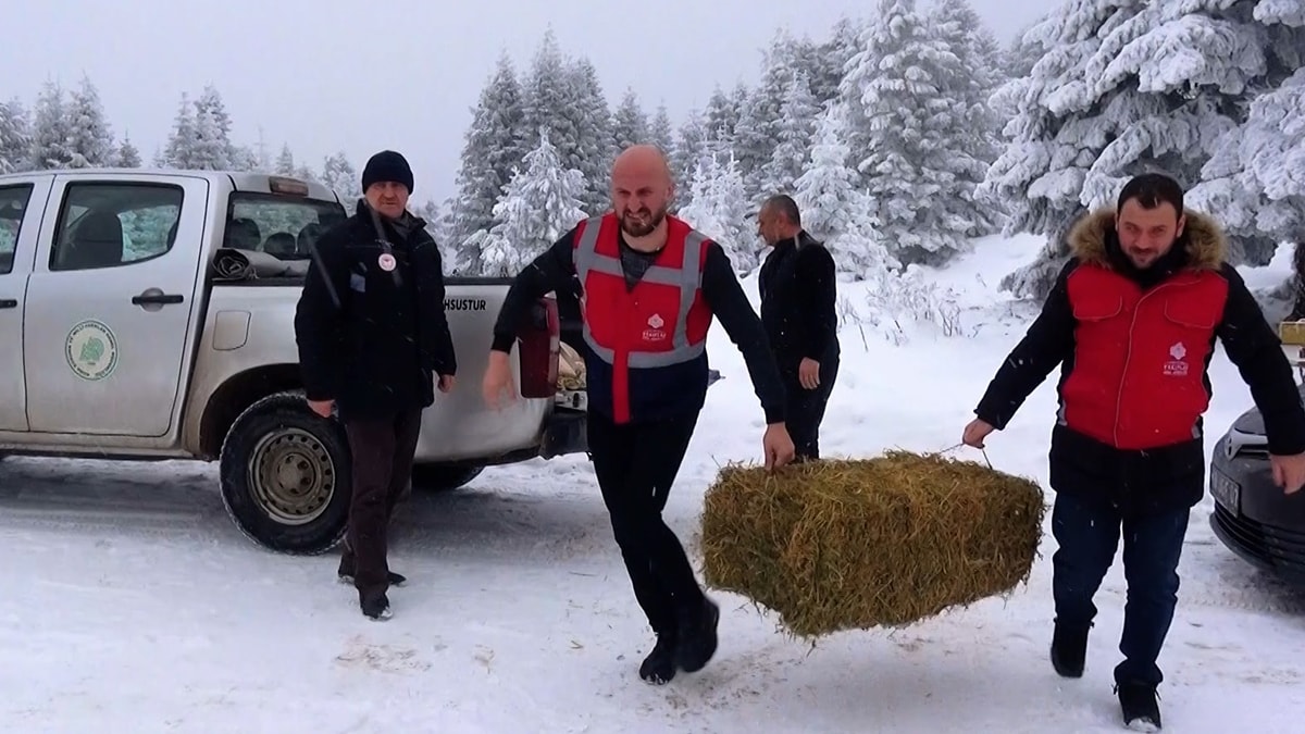 Uludağ'da yaban hayvanları için yem bırakıldı
