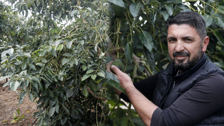 Bahçeye denemek için ekti şimdi 21 ton ürün topluyor: Hem de sıfır maliyetli