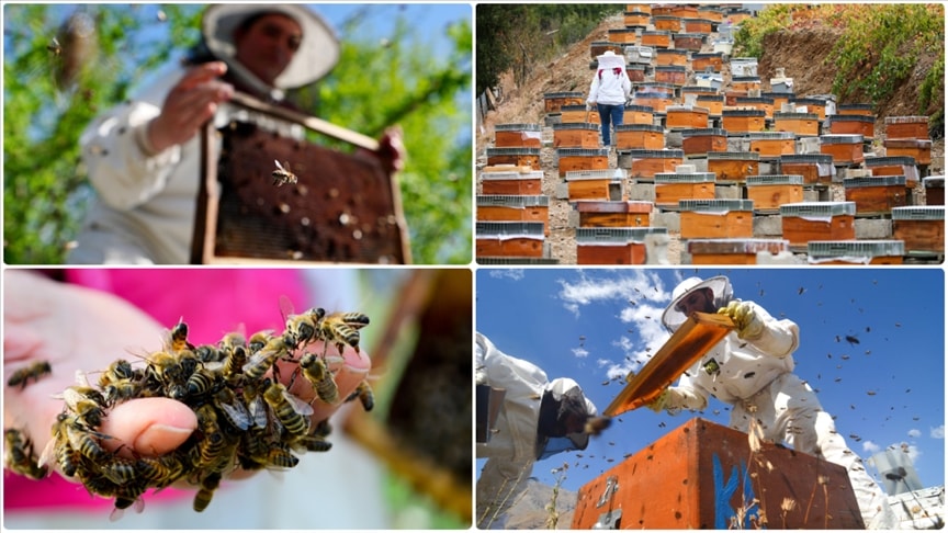 Türk balı ihracatı yılın ilk ayında 4,1 milyon dolar kazandırdı