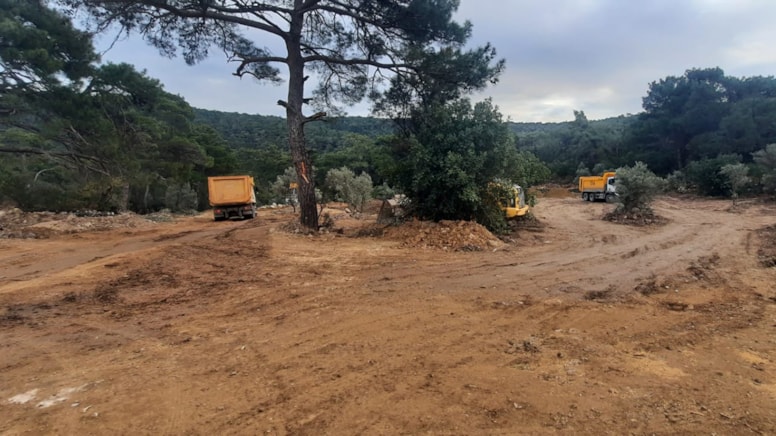 Zeytin katliamına sert tepki