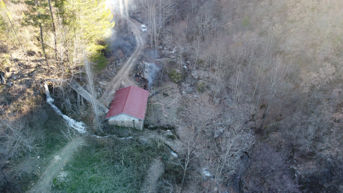 200 yıllık canavar geri döndü: Köylü ormana çuval çuval buğday taşıyor