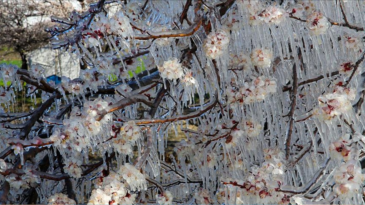 Meteoroloji gün ve saat verdi: Turistik ilçeler için don uyarısı