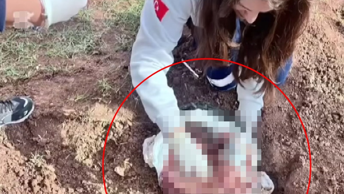 Şırnak'ta kan donduran olay: Poşetten bebek cesedi çıktı