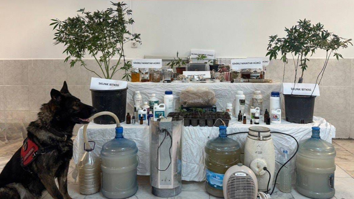 Muğla'da uyuşturucu operasyonu: 1 gözaltı