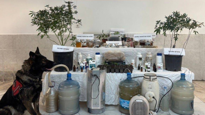 Muğla'da uyuşturucu operasyonu: 1 gözaltı