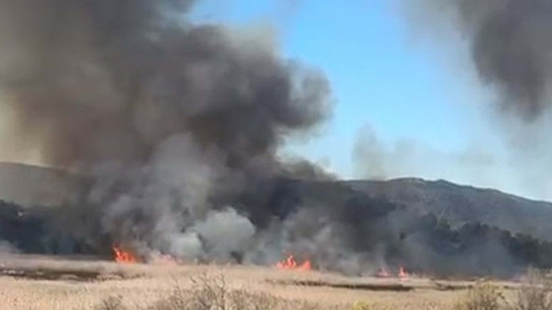 Muğla'da sazlık alanda yangın