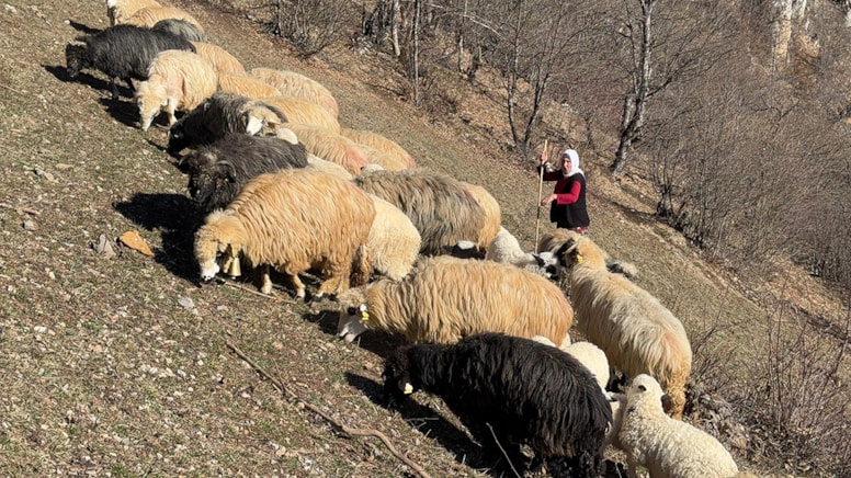1500 rakımlı bölgede zorlu mücadele: Kendi üretiyor, paraya para demiyor