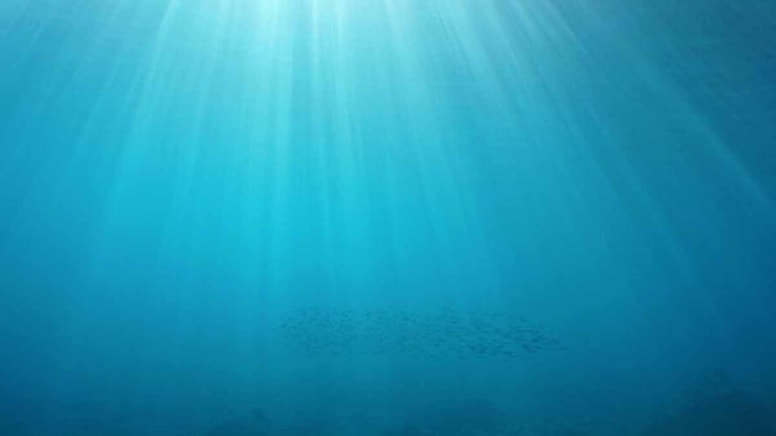 Akdeniz'in derinliklerinde, yüzlerce iri göz: Yeni bir dönemin başlangıcı...