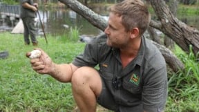 Hayvanat bahçesi yana yakıla o hayvanı arıyor: Dünyanın en tehlikelisi