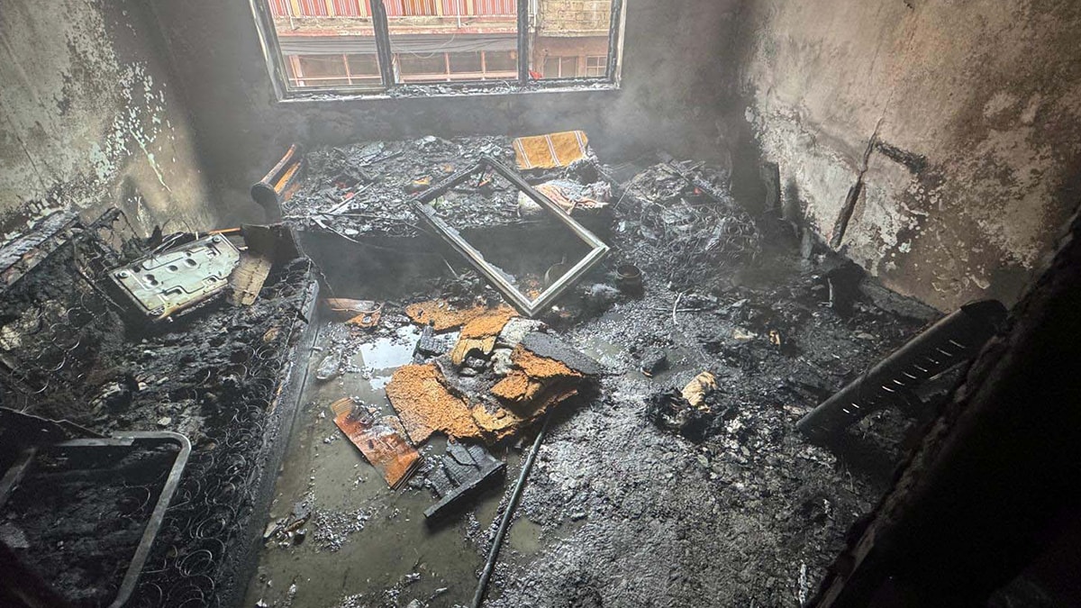 Evde çıkan yangında alevlerin arasında kaldılar! 4 yavru köpek öldü