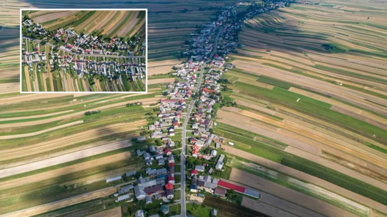 Tüm mahalle tek bir cadde boyunca sıralanmış: Yaprak gibi görünüyor