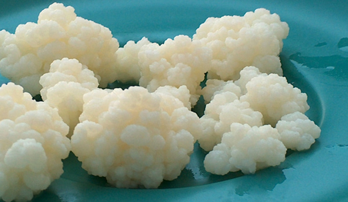 Sebze, balık veya yoğurt değil: Bilim insanlarına göre bu şaşırtıcı gıda ömrünüzü uzatıyor