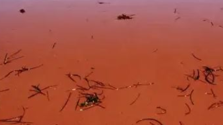 Kızıl kabus o şehri esir aldı: Çin'den farkı yok