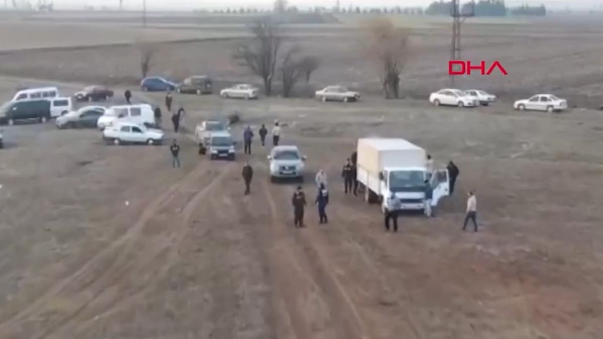 Köpek dövüşüne jandarma baskını