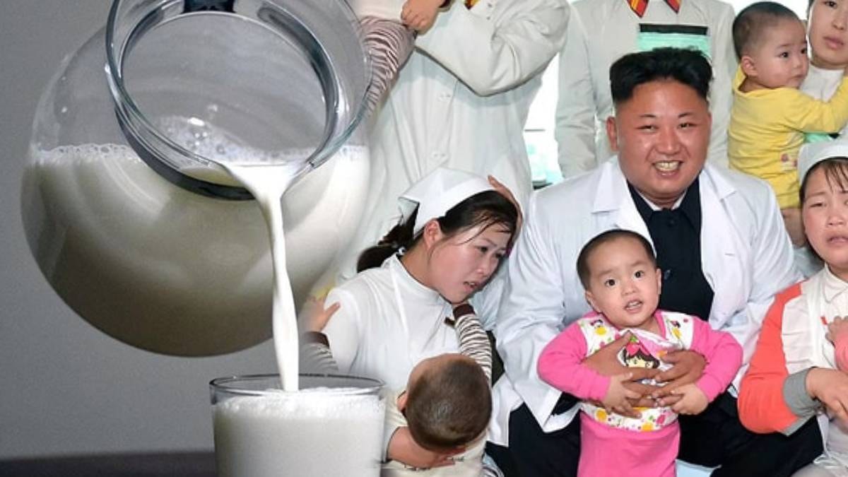 İşte Korelilerin hiç süt içmeme nedeni