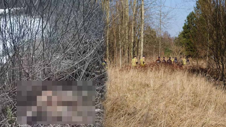 Bir yığın ölü hayvan bulundu: Polonyalı yetkililer hemen harekete geçti