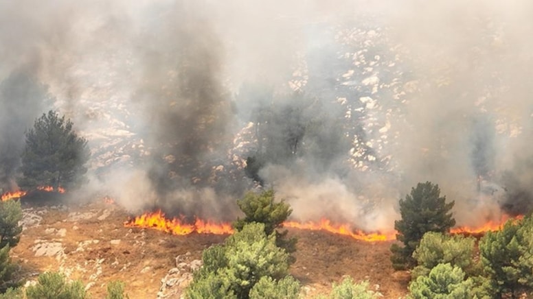 Antalya'da orman yangını: Rüzgarın etkisiyle büyüdü