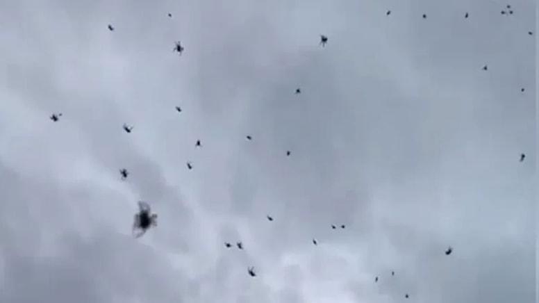 Bir anda gökten yüzlercesi yağdı: Yetkililerden açıklama geldi