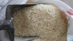 Ne Osmancık ne baldo en sağlıklı pirinç buymuş