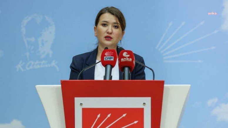 CHP'li Gökçe Gökçen: