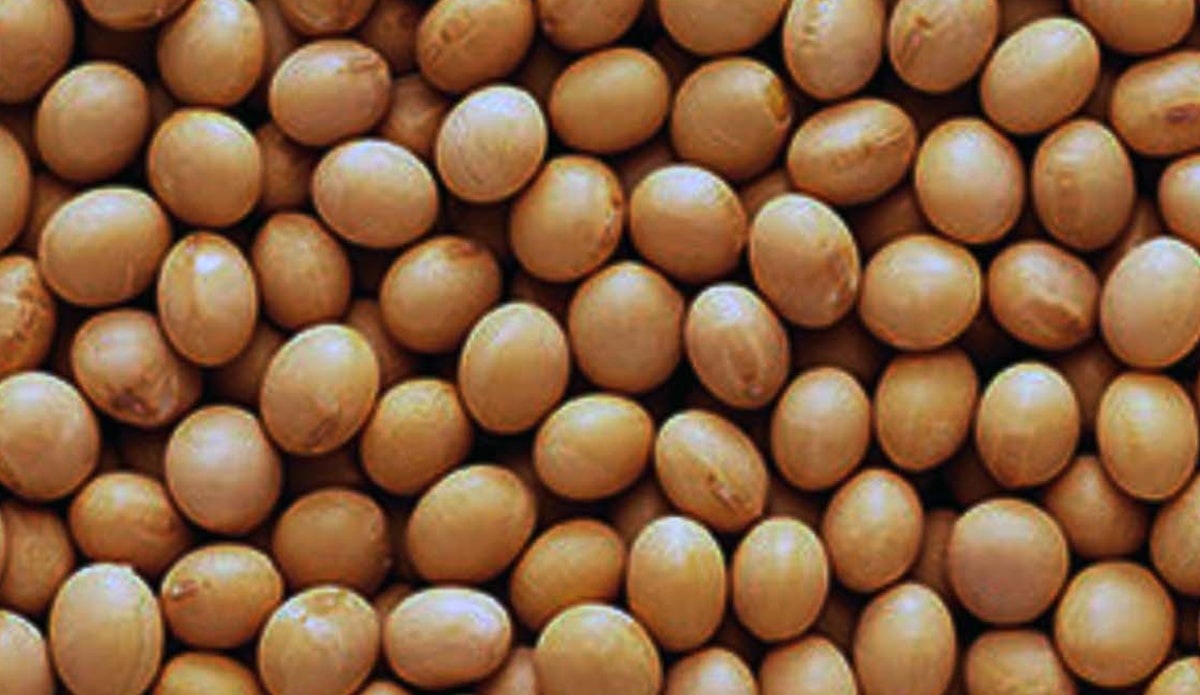 Kimse bilmiyor ama haftada 2 defa tüketmek gerekiyor: Kemikleri beton gibi yapıyor