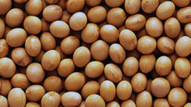 Kimse bilmiyor ama haftada 2 defa tüketmek gerekiyor: Kemikleri beton gibi yapıyor