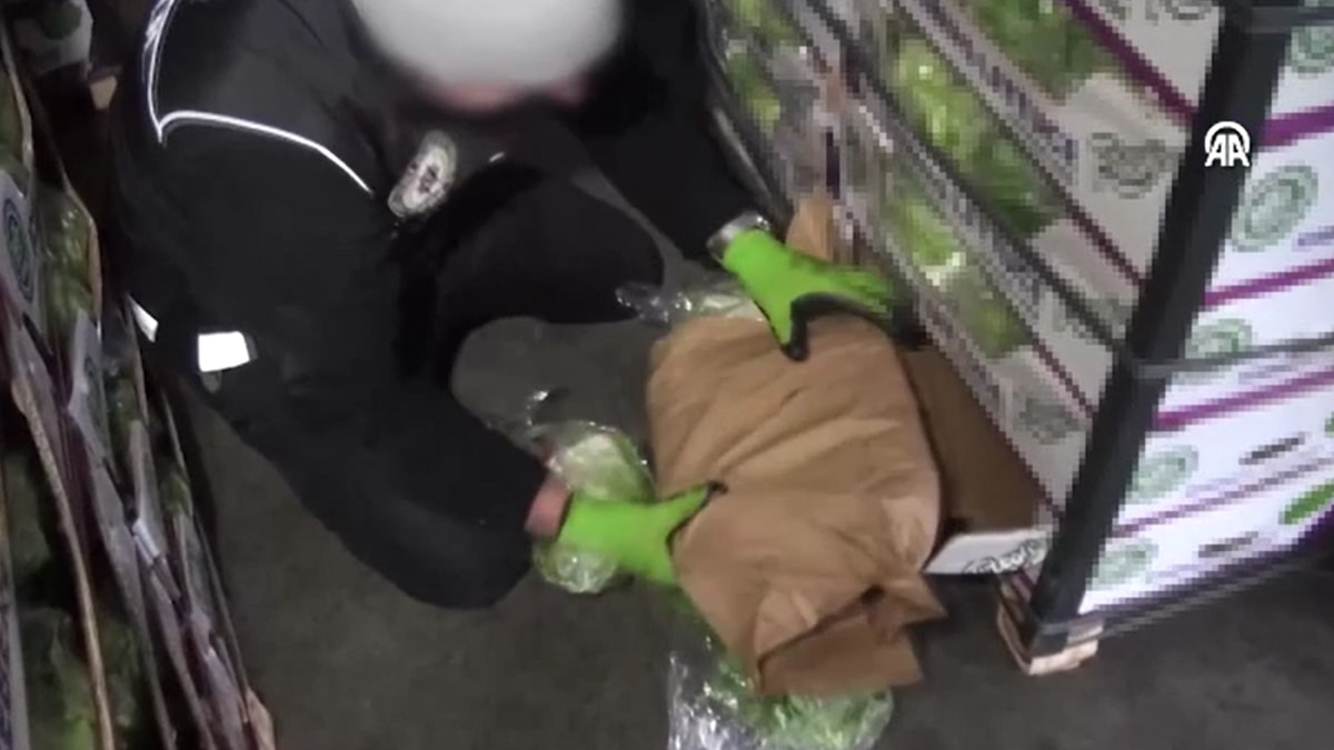 Sebzelerin arasında kilolarca uyuşturucu bulundu