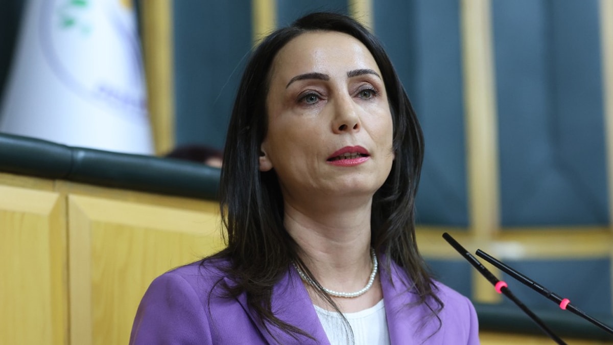 DEM Parti'den Erdoğan'a kayyum sorusu