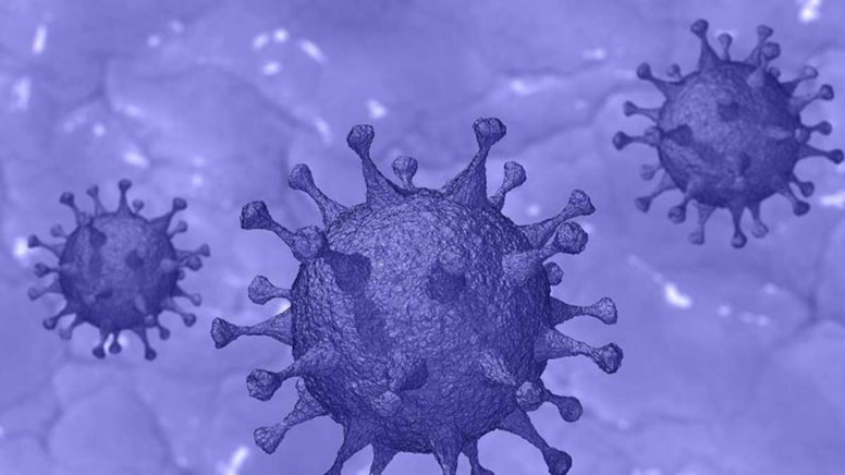 Amerikan medyası duyurdu, bilim insanları alarma geçti: Bir pandemiye hiç bu kadar yakın olmamıştık