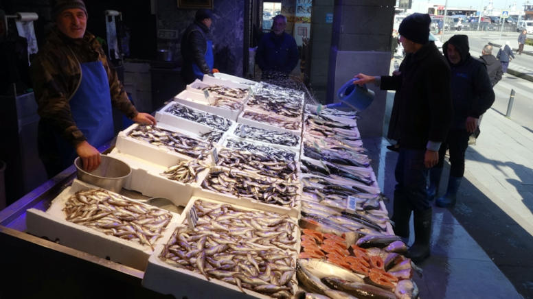 Palamut ve hamsi devri bitti, balıkçılar isyan etti