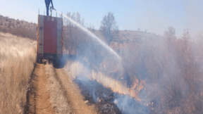 Mardin'de örtü yangını: Çok sayıda ağaç kül oldu