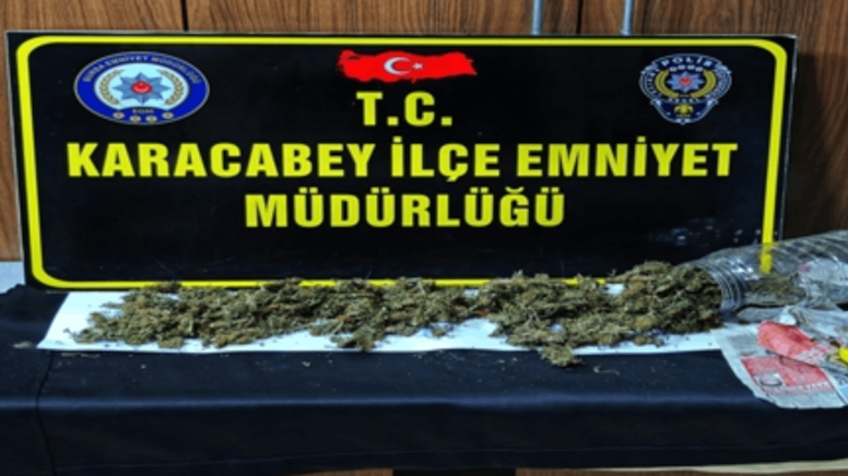 Kuş kümesinden Hint keneviri çıktı