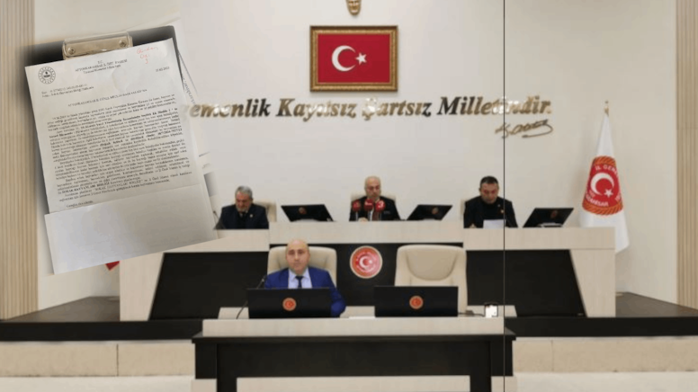 Sokak hayvanları için önemli adım! Sokak Hayvanları Birliği kuruluyor