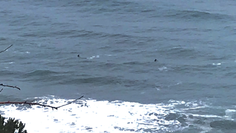 İstanbul'dan Bartın'a gittiler, ölümden döndüler