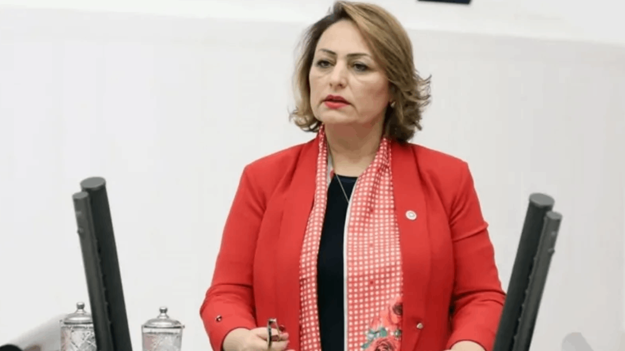 CHP'li Şevkin: “İktidar, vatandaşı yazın sıcaktan yakacak, kışın da donduracak”